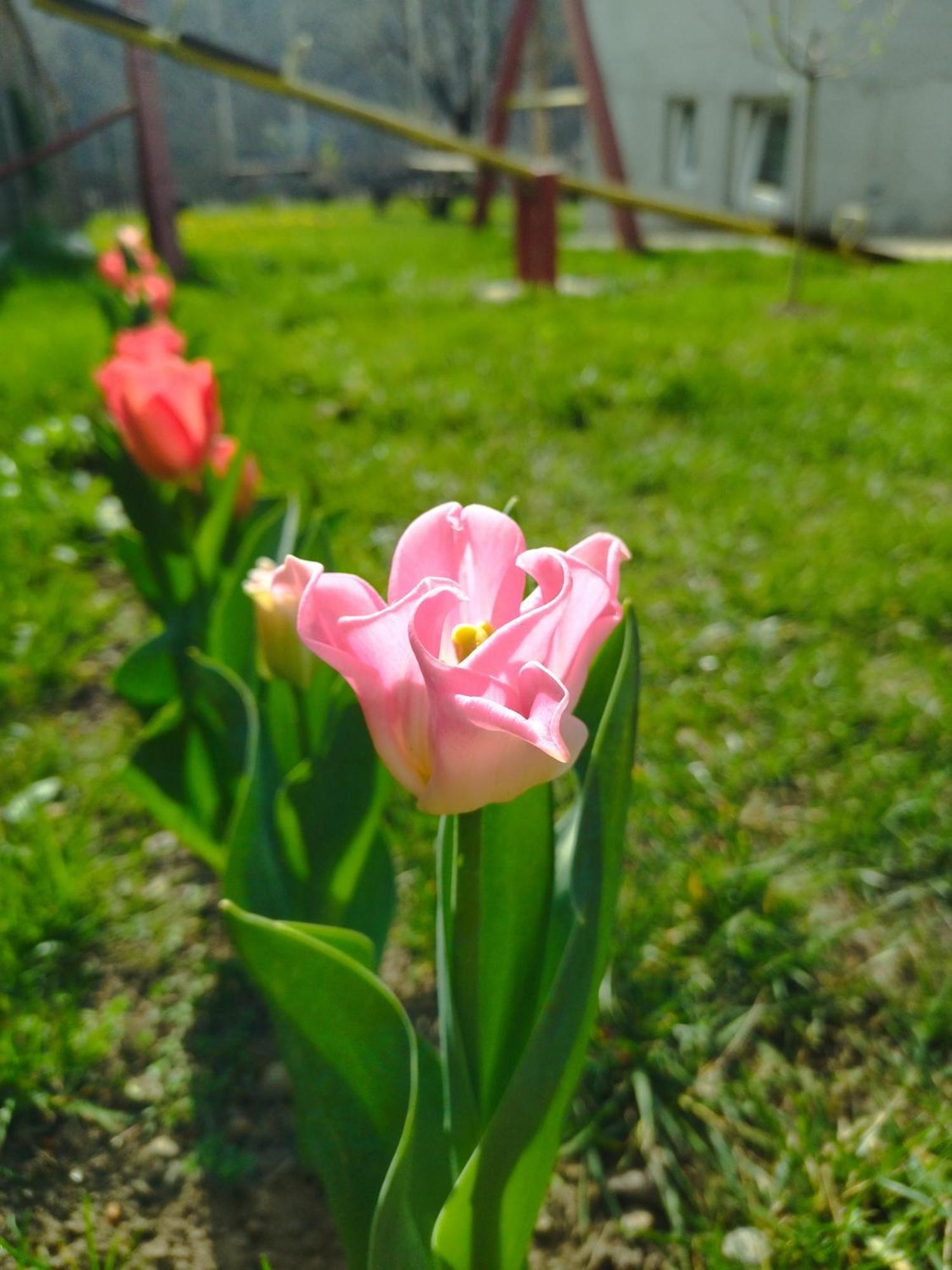 Konak Garavi Sokak Kursumlija Quarto foto